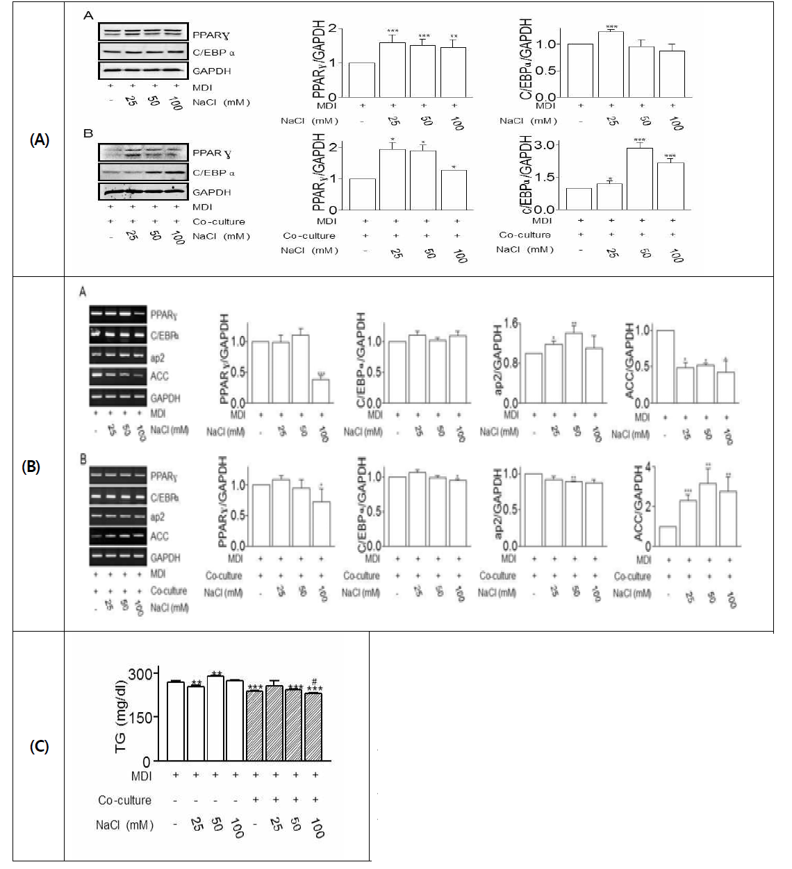 나트륨 처치에 따른 adipogenesis 관련 시그널 기전 및 지방분화 발현 측정. 3T3-L1지방세포 단독(A)과 co-culture(B)에서의 지방분화 관련 마커 PPARγ CEBP/α, ap2, ACC 및 TG를 측정함.(A: 단백질 발현, B::mRNA 발현, C TG 측정) (*, p<0.05, **, p<0.01, ***, p<0.001)