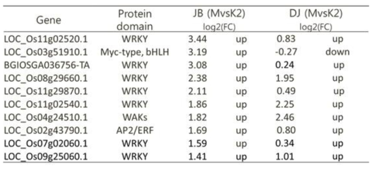 Comparisons of the expression level of representative transcription process component genes involved in immunity between compatible and incompatible interactions in rice with Xoo strain K2