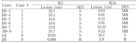 Disease resistance reaction of single gene copy B9-OX lines at 16 DAI