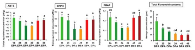 고추 성장 시기별 항산화 능 비교 및 총 플라보노이드의 함량 비교 그래프