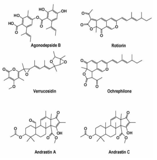 Penicillum expansum 액체배양, 고체배양 프로파일링에서 동정된 이차대사산물의 구조