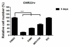 합성물질에 의한 CWR22rv 세포의 안드로겐 비의존적 증식 억제