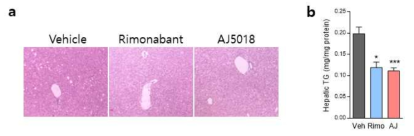 db/db 마우스에서 AJ5018에 의한 간조직의 TG양 감소