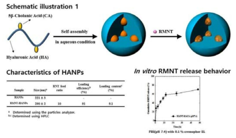 나노입자-rimonabant 복합체 생성 및 방출거동 평가