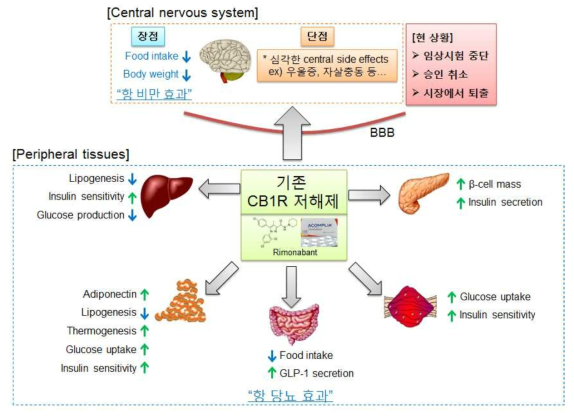 기존 CB1R 저해제의 central 및 peripheral 효과 (장점 및 단점)