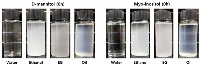 D-mannitol 및 Myo-inositol의 용해도 실험(용해 직후)