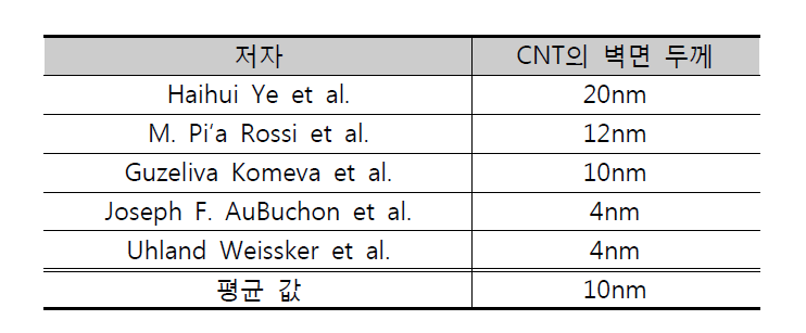 CNT의 벽면 두께