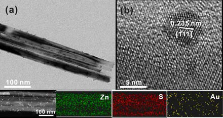 빛을 이용하여 합성한 ZnS-Au 물질의 전자현미경 사진