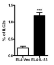 IL-33을 과발현하는 EL4 림포마에 의해 형성된 종양에서 ILC2의 수가 현저히 증가함