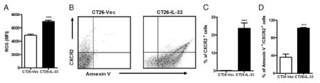 IL-33이 과발현하는 종양에서 암세포는 ROS에 의해 CXCR2의 발현이 증가하고 CXCR2 발현이 증가된 세포는 세포사멸함