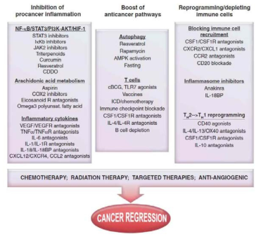 치료 전략으로서 종양을 촉진하는 만성염증 표적 치료법 (Science, 2013)