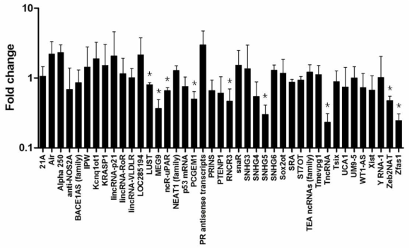 AGS 대비 AGS-EBV에서 세포 lncRNA 발현양. LncProfiler™ qPCR Array 결과. n=3; *, P value<0.05