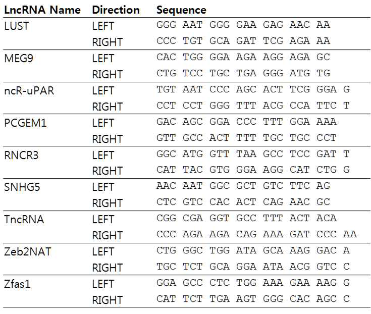 LncRNA 발현 확인에 사용된 Real-time PCR primer 목록