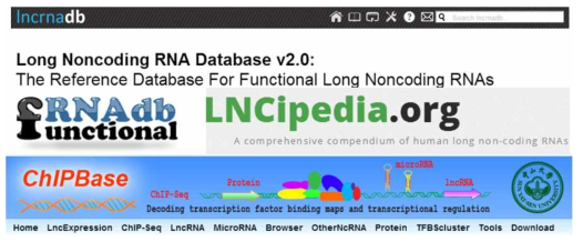 세포 lncRNA의 서열을 알기 위해 활용한 사이트들