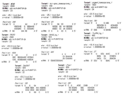 EBV miRNA와 선정된 세포 lncRNA들이 결합할 가능성을 분석. 일부 결과만 예시로 나타냄