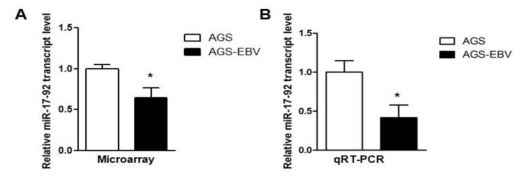 AGS와 AGS-EBV에서 miR-17-92 클러스터의 발현 확인 (A) Microarray 데이터 (B) qRT-PCR 데이터. *, P < 0.05