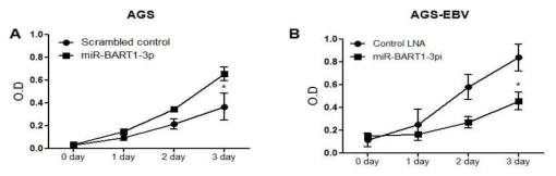 miR-BART1-3p의 발현 변화가 세포 생장에 미치는 영향 관찰 *, P < 0.05