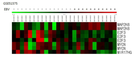 Heat map representation of GEO database analysis