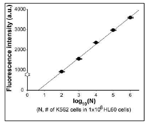 HL60 cell 수를 고정하고 K562 cell 수를 감소시키면서 형광의 감소와 직선성 및 검출한계 확인