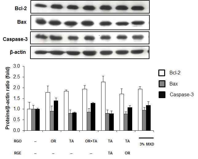 Bcl-2, Bax, and Caspase-3 expressions in skin tissue by red ginseng oil and red ginseng extract. Protein expression levels were determined by western blotting. The intensity of bands was densitometrically measured and normalized against the protein levels of â-actin. (RGO: red ginseng oil; RGE: red ginseng extract; MXD: minoxidil; OR: oral gavage; TA: topical application)