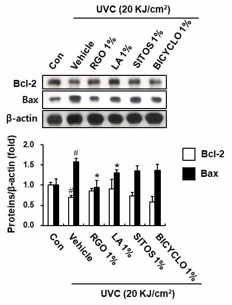 Effect of RGO and its major components on the expression of Bcl-2 and Bax proteins in UVC-treated hairless mice