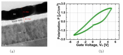 (a) 제작된 ferroelectric capacitor의 TEM 사진 (19nm의 ferroelectric insulator 두께를 가짐), (b) 제작된 소자의 polarization vs. gate voltage 특성