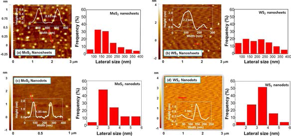 (a) MoS2 nanosheet, (b) WS2 nanosheet, (c) MoS2 nanodot, (d) WS2 nanodot의 AFM 이미지. AFM 이미지의 붉은 선 영역에 대한 높이 프로필은 내부 이미지로 삽입됨. 폭 크기에 대한 분포 데이터를 통해 대표적인 폭 크기는 nanosheet의 경우 수백 nm, nanodot의 경우 3-5 nm로 확인됨