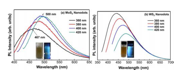 (a) MoS2 nanodot 및 (b) WS2 nanodot에 대한 PL 스펙트럼. MoS2 nanodot의 경우 500 nm, WS2 nanodot의 경우 440 nm 영역에서 강한 PL 피크가 관찰됨. 각 nanodot이 NVP에 분산된 상태에서 365 nm 자외선을 조사하기 전 후의 사진이 각 그래프 내부에 삽입됨