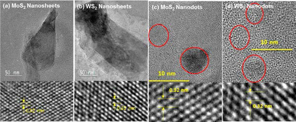 (a) MoS2 nanosheet, (b) WS2 nanosheet, (c) MoS2 nanodot, (d) WS2 nanodot에 대한 TEM 이미지