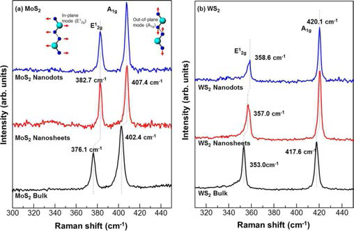 (a) MoS2 및 (b) WS2 물질에 대한 라만 스펙트럼. 진동 모드의 이동은 물질 크기의 변화를 시사함