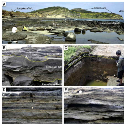 (A) A view of the Songaksan tuff ring from the western coast during a low tide. (B) The Songaksan Tuff lies directly upon the Kwanghaeak Basalt and is overlain by the Hamori Formationwith a sharp erosional contact. (C) An archeological trench c. 700m to the northeast of the human footprints site, showing the distal Songaksan Tuff above a paleosol. (D) Ripple cross-laminated tuffaceous sandstones intercalated with continuous mud drapes (light colored layers) within the Hamori Formation. (E) Cross-stratified basaltic tuffaceous pebbly sandstones of the Hamori Formation. The photo scale in B (circled) is 5 cm long