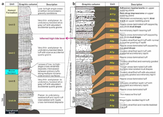 (a) Columnar log of the ca. 6 m-thick rimbeds of Songaksan at the medial-to-distal reach. (b) Columnar log of Unit A, about 1.5 m thick, characterized by intercalations of thin ripple cross-laminated reworked deposits (unit names ending with ‘‘r’’) between subaerially emplaced primary volcaniclastic deposits (unit names ending with ‘‘p’’) in the lower two thirds of the unit