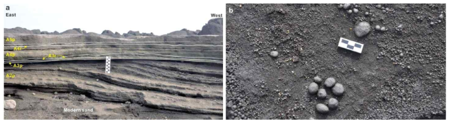 Deposit features of the basal rimbed of Songaksan. (a) Deposit features of the lower part of Unit A*. Unit A2p shows sigmoidal cross stratification produced by a westward-migrating megaripple bedform with a meter-long wavelength. Unit A3p is a thin, fine-grained and mantle-bedded fallout tuff. Crudely stratified tuffs of Units A4p and A5p contain abundant accretionary/armored lapilli. Reworked units A3r and A4r are a few centimeters thick and ripple cross-laminated with either erosional or non-erosional lower surfaces. (b) Accretionary/armored lapilli of variable sizes exposed on a bedding-parallel section of Unit A10p