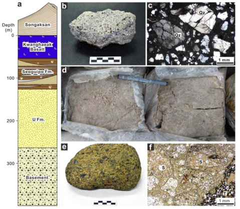 Schematic column of the subsurface stratigraphic units beneath Songaksan. b A quartzose sedimentary rock fragment. c Thin section photomicrograph of a quartzose sedimentary rock fragment under crossed nicols. d Well-sorted quartz sand of the U Formation. e A basaltic lapilli tuff fragment from the Seoguipo Formation. f Thin-section photomicrograph of a basaltic tuff clast under open nicols, consisting of sideromelane (S) and tachylite (T) grains in a poorly sorted fine ash matrix