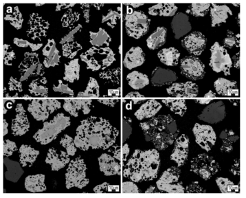 BSE images of tephra grains showing marked contrasts in texture between tuff units. a Not a single tephra grain of sample A1 is ash-coated. b Tephra grains of Unit B are commonly coated by extremely fine ash whether they are juvenile or accidental. c Tephra grains of Unit C are mostly uncoated by fine ash. d Tephra grains of Unit D show similar characteristics to those of Unit B. The uncoated juvenile tephra grains of Unit A1 (a) and Unit C (c) preserve delicate grain margins in contrast to the coated tephra grains of Unit B (b) and Unit D (d), which are apparently better rounded