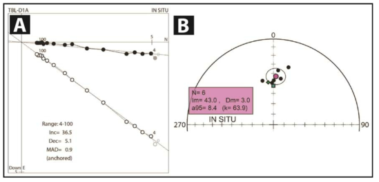 (A) A typical SAFD result on the Zijderveld diagram for specimen TBL-D1A (the ponded trachybaslt unit). (B) Distribution of determined ChRM directions on equal-area projection, showing their mean direction (magenta circle) as a paleomagnetic direction at the time of the eruption, with the present International Geomagentic Reference Field (IGRF-12, Thebault et al., 2015) direction (diamond symbol) and the geocentric axial dipole (GAD) direction (square symbol)