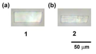 Optical microscopic photographs of a single crystal of 2 (a) before and (b) after soaking in a pz DMF solution for 1 d at 100 °C
