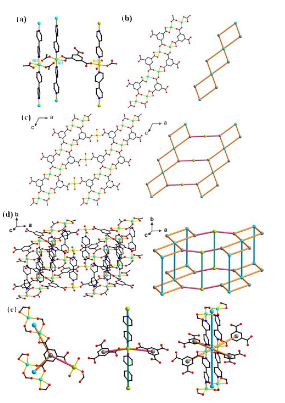 The crystal structure of 2. (a) The coordination environments of the NiII ions and the ligands . (b) A 1-D rhomboidal chain structure and the corresponding node-and-linker diagram. (c) A 2-D sheet structure and the corresponding node-and-linker diagram. (d) A 3-D pillared structure and the corresponding node-and-linker diagram. (e) A 3-c node, a 4-c node, and a 6-c node