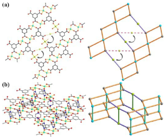 The crystal structure of 2. (a) A 2-D sheet structure formed with 1-D rhomboidal chains connected by mononuclear Ni centers, and the corresponding node-and-linker diagram. The dashed pink sticks represent the old connectivity between carboxylate pairs of 1-D rhomboidal chains in 2, and the solid purple sticks represent the new connectivity between the other carboxylate pairs of 1-D rhomboidal chains in 2. (b) A 3-D pillared structure and the corresponding node-and-linker diagram