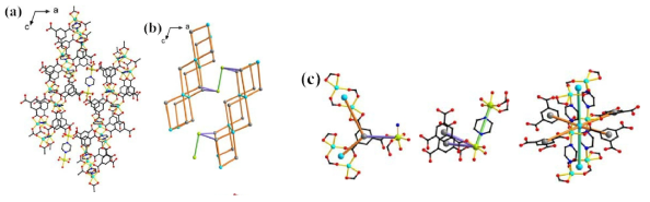 The crystal structure of 3. (a) The projection view of 3 in a ball-and-stick model along the crystallographic c-axis. (b) The same projection view of the network of 3 in a node-and-linker diagram. (c) A 3-c node based on the btc ligand, a 4-c node based on the mononuclear Ni center, and a 6-c node based on the dinuclear [Ni2(COO)4(N2)2] SBU