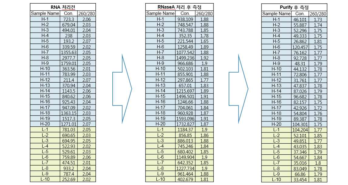 Genomic DNA 정량