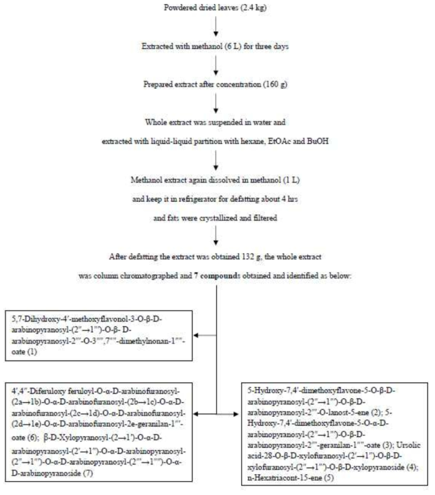 Flow chart for isolation of compounds from Oryza sativa leaves