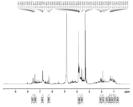 1H NMR spectrum of compound 1