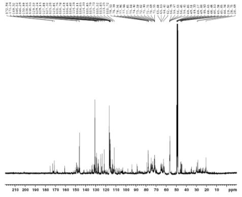 13C NMR spectrum of compound 1