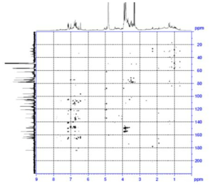 HMBC spectrum of compound 3