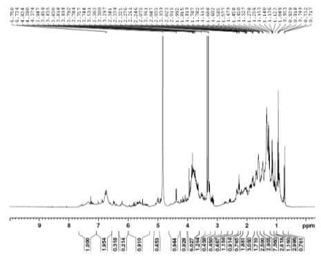 1H NMR spectrum of compound 4