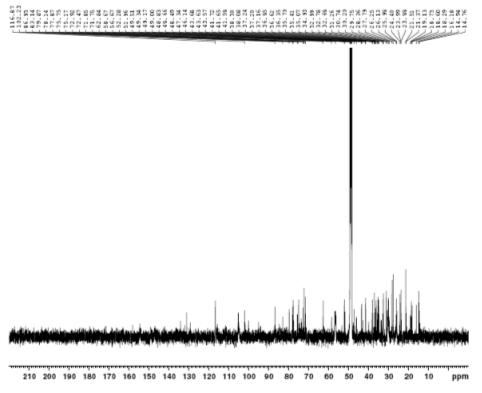 13C NMR spectrum of compound 4