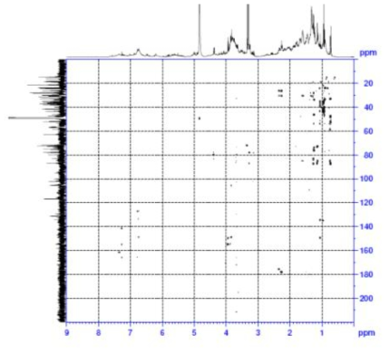 HMBC spectrum of compound 4