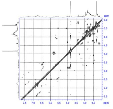 COSY spectrum of compound 4