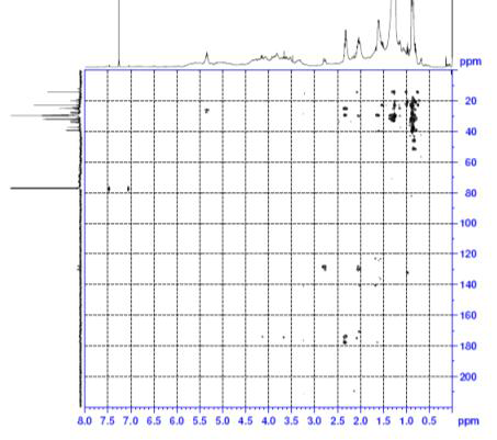 HMBC spectrum of compound 5